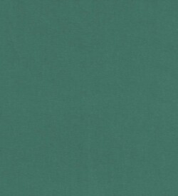 Textura-Tecido-Sarja-Flanelle-Verde-Bonzai-SA62C366-862pxl