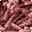 NY01C028 FUCSIA